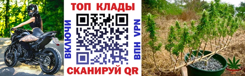  Cocaine Солигалич