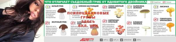 гидропоника Кинешма