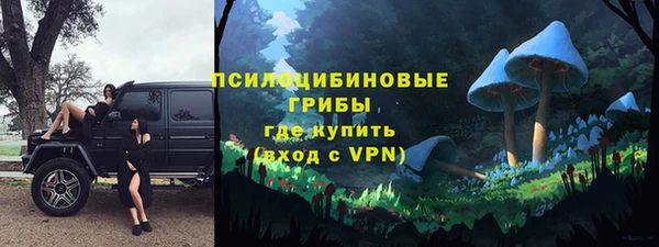 не бодяженный Козловка