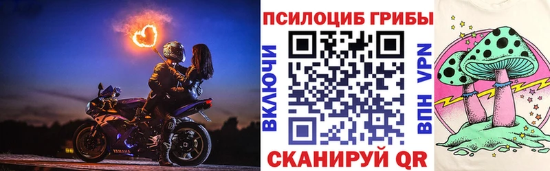 Галлюциногенные грибы Cubensis Солигалич