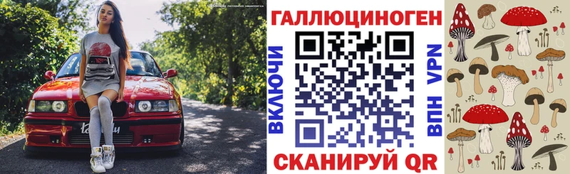 Купить где  Солигалич  Галлюциногенные грибы GOLDEN TEACHER 